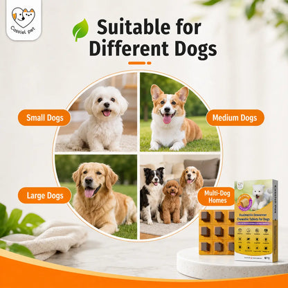 Cassiel Pet Chicken Flavor Soft Treats for Adult Dogs, Daily Pet Snacks, Easy Feeding, 10 Tablets