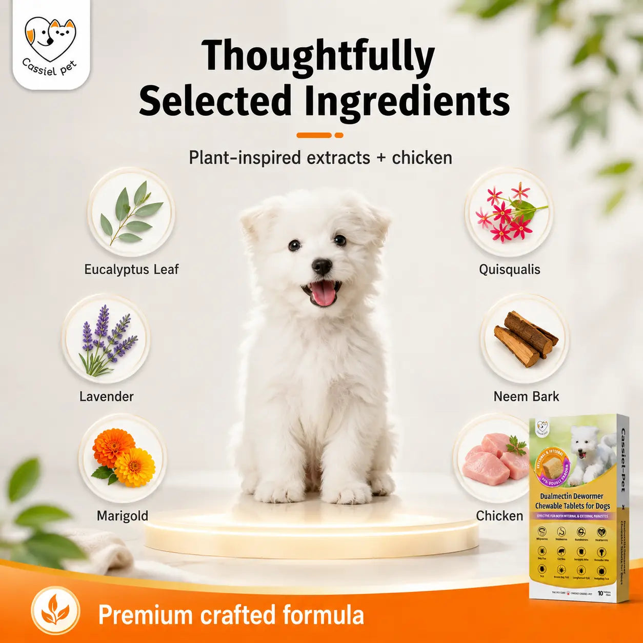 Cassiel Pet Chicken Flavor Soft Treats for Adult Dogs, Daily Pet Snacks, Easy Feeding, 10 Tablets