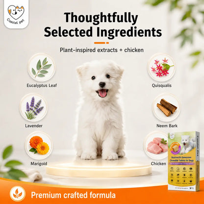Cassiel Pet Chicken Flavor Soft Treats for Adult Dogs, Daily Pet Snacks, Easy Feeding, 10 Tablets