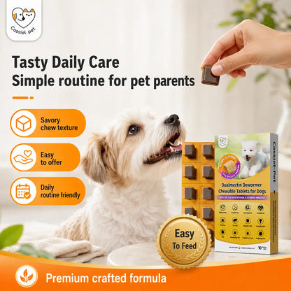 Cassiel Pet Chicken Flavor Soft Treats for Adult Dogs, Daily Pet Snacks, Easy Feeding, 10 Tablets