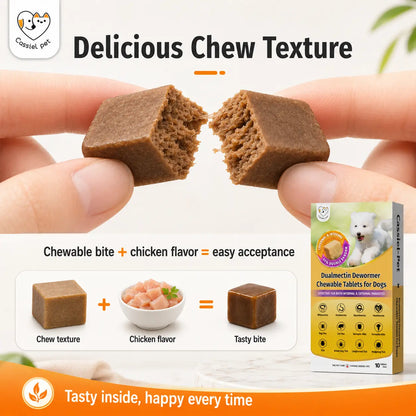 Cassiel Pet Chicken Flavor Soft Treats for Adult Dogs, Daily Pet Snacks, Easy Feeding, 10 Tablets